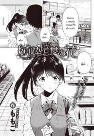 ดอกไม้บริสุทธิ์สีขDoujin-Lc- อ่าน โดจิน มังฮวา เกาหลี ญี่ปุ่น จีน แปลไทยดอกไม้บริสุทธิ์สีขาว [Momoko] Junsuibaiyou no hanaตอนที่ 1 2 3 4 5 6 7 8 9 10 11 12 13 14 ฟรี ไม่มีโฆษณา อ่าน โดจิน Manhwa เกาหลี ญี่ปุ่น จีน เรามีครบ คัดมาให้เน้นๆ โดจิน 18+ รับประกันความฟินโดย  Doujin Lc