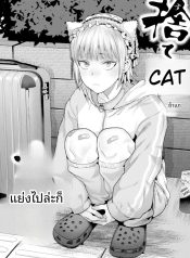 เก็บแมวจรจัดมาเลี้Doujin-Lc- อ่าน โดจิน มังฮวา เกาหลี ญี่ปุ่น จีน แปลไทยเก็บแมวจรจัดมาเลี้ยงตอนที่ 1 2 3 4 5 6 7 8 9 10 11 12 13 14 ฟรี ไม่มีโฆษณา อ่าน โดจิน Manhwa เกาหลี ญี่ปุ่น จีน เรามีครบ คัดมาให้เน้นๆ โดจิน 18+ รับประกันความฟินโดย  Doujin Lc